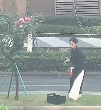 小仙女马路上做采花大盗，穿的仙气飘飘，可干的却是腌臜事。目测应该是月季花，小仙女