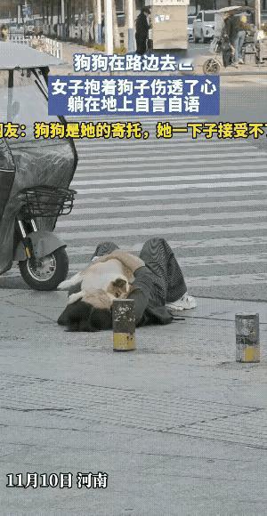 11月10日，河南有个女子，躺在大马路上，抱着死去的狗狗，哭的死去活来。
有人说