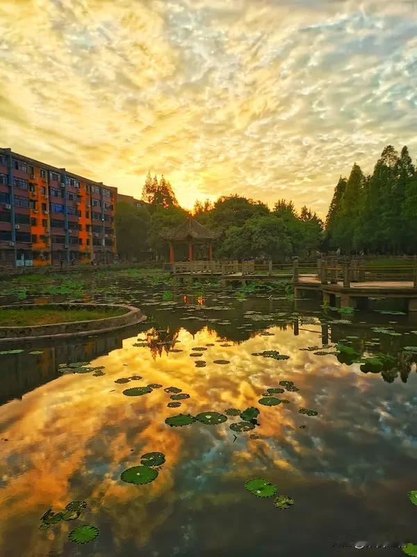 你认为一个人最可贵的品格是什么 我觉得一个人最可贵的品格当属靠谱。
生活中，不靠