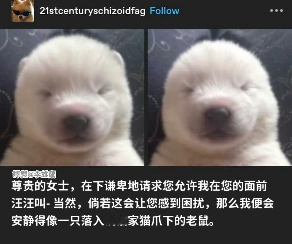 敬爱的小黄： 
