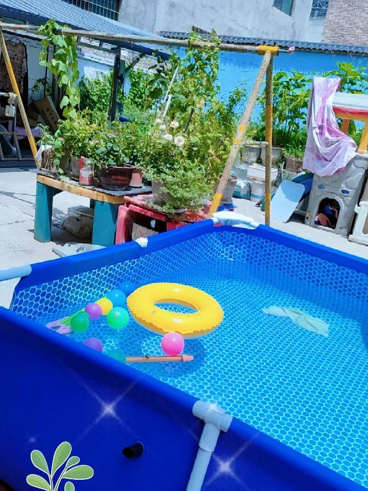 公共浴室属于密闭、涉水的特殊公共场所，水汽潮湿、人员密集，卫生要求极高。宠物身上