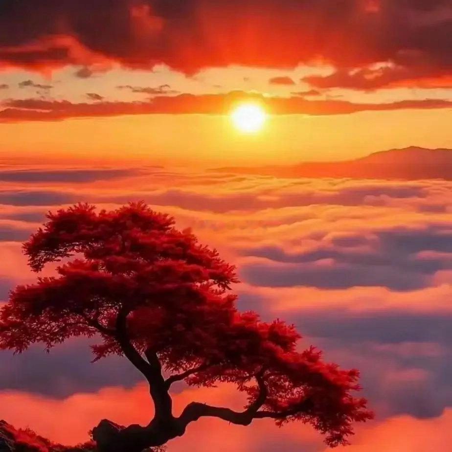 大家早上好！马上开盘，点赞+评论「888」打卡接好运！祝大家持仓飘红，账户节节攀