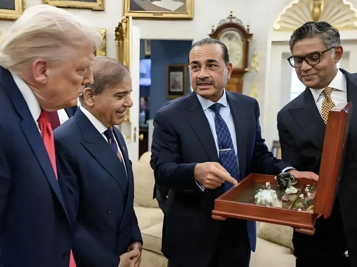 没全面的了解事情前，千万不要捕风捉影。

10月13日，外交部发言人林剑就巴基斯