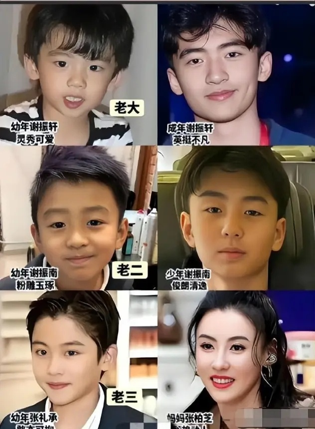 都是张柏芝儿子，生父被曝的小儿子要承受恶意，谢贤终为风流买单 