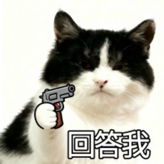 2026湾区升明月 🍓 刘宇宁4登湾区升明月 湾区升明月：是不是最爱我？说话！