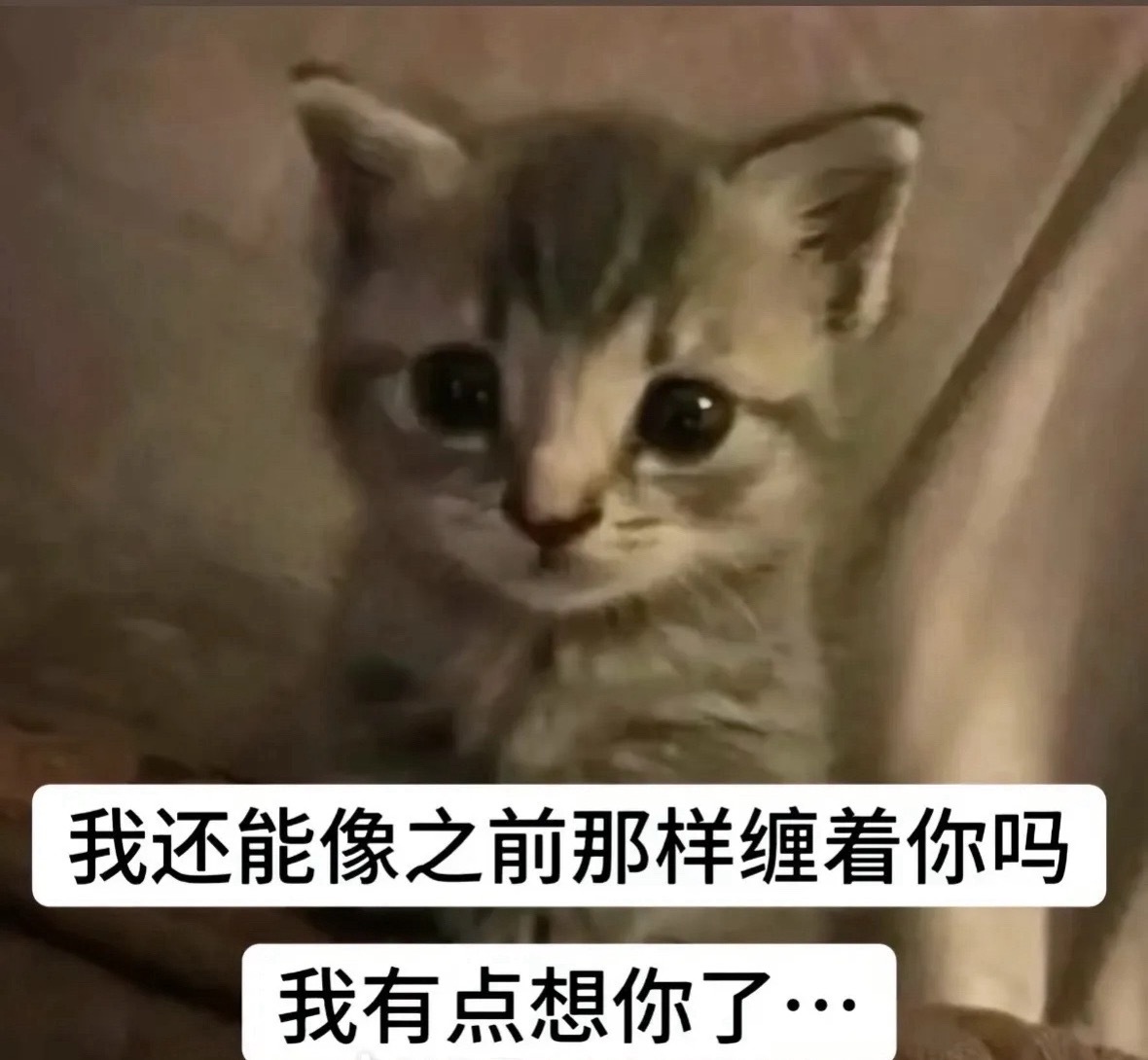 见你一面真难