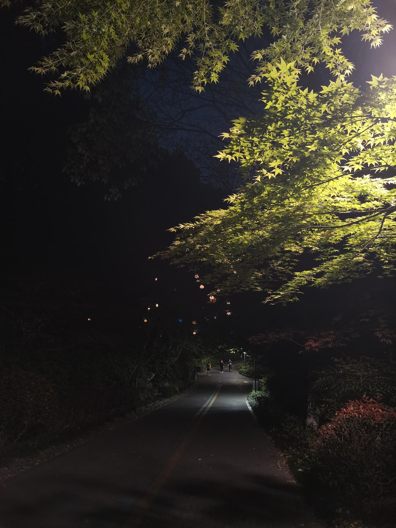 多年前读独木舟的《我亦飘零久》，
现在读她的《独自生活》。
快奔四的年纪，
依然