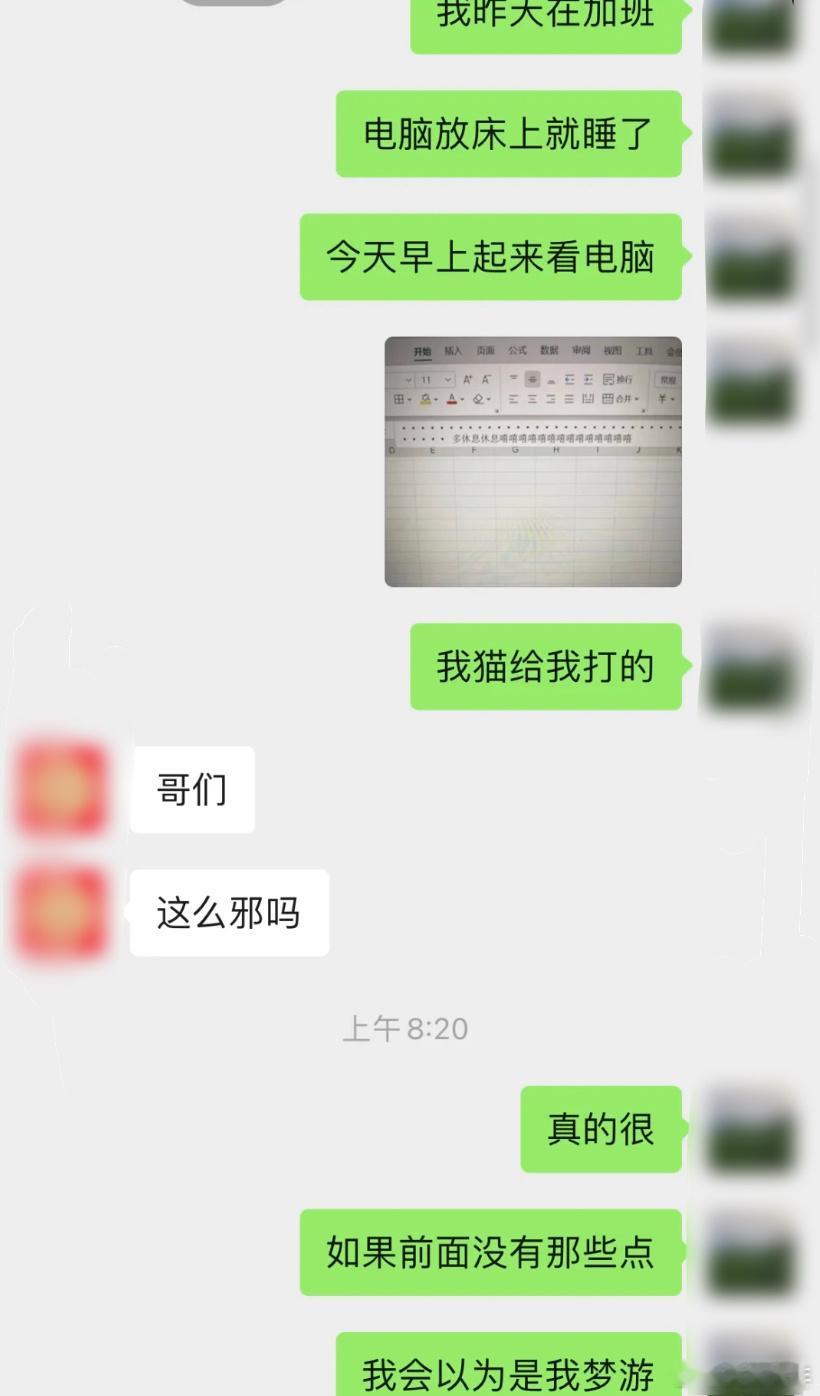 小猫用电脑给自己留言了[苦涩] ​​​