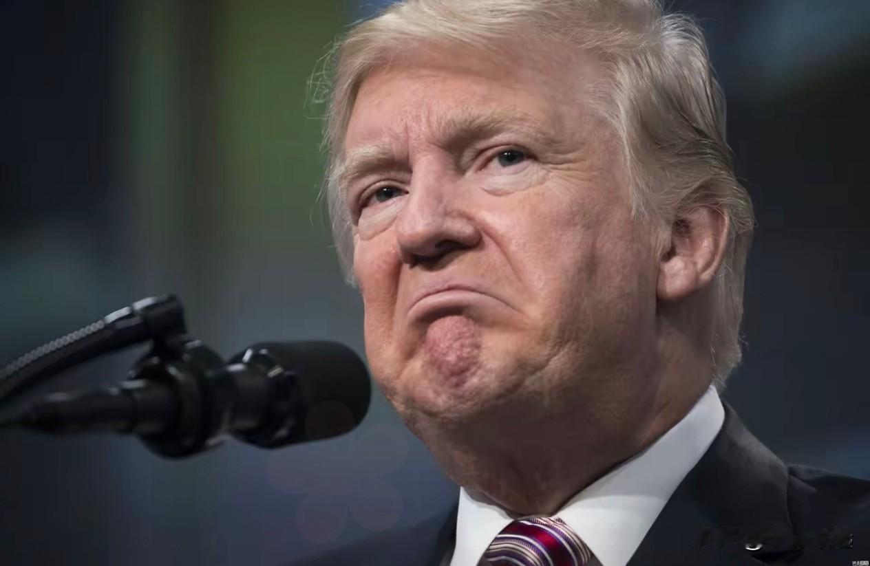 4月9日，美媒爆出特朗普给以色列总理内塔尼亚胡下了通牒，让以军减少对黎巴嫩的打击