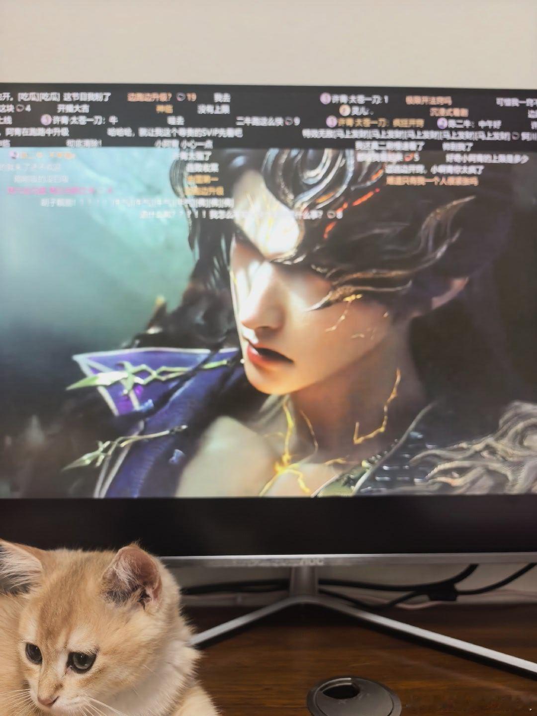 看光阴之外7282828282金渐层光阴之外