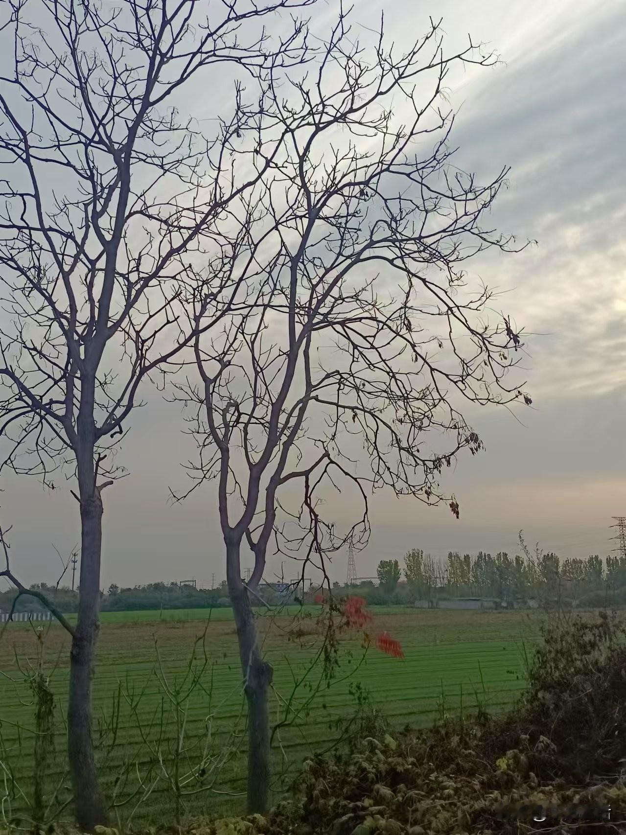 梁东方
总的来说冬天是一个适合阅读的季节，冬天的气候是内敛的，是室内的，是外界少