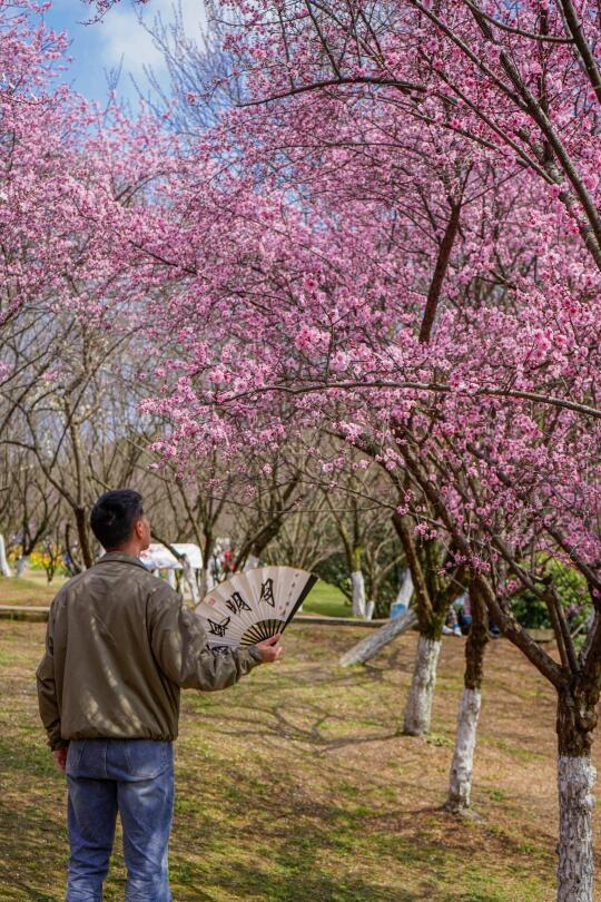 成都.适合一个人闲逛的100个地方（27/100）