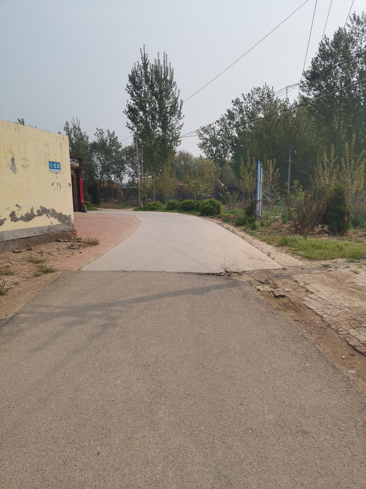 空无一人的街道，无人居住长满野草的胡同，常年关门生锈的锁头！
    走在街道上