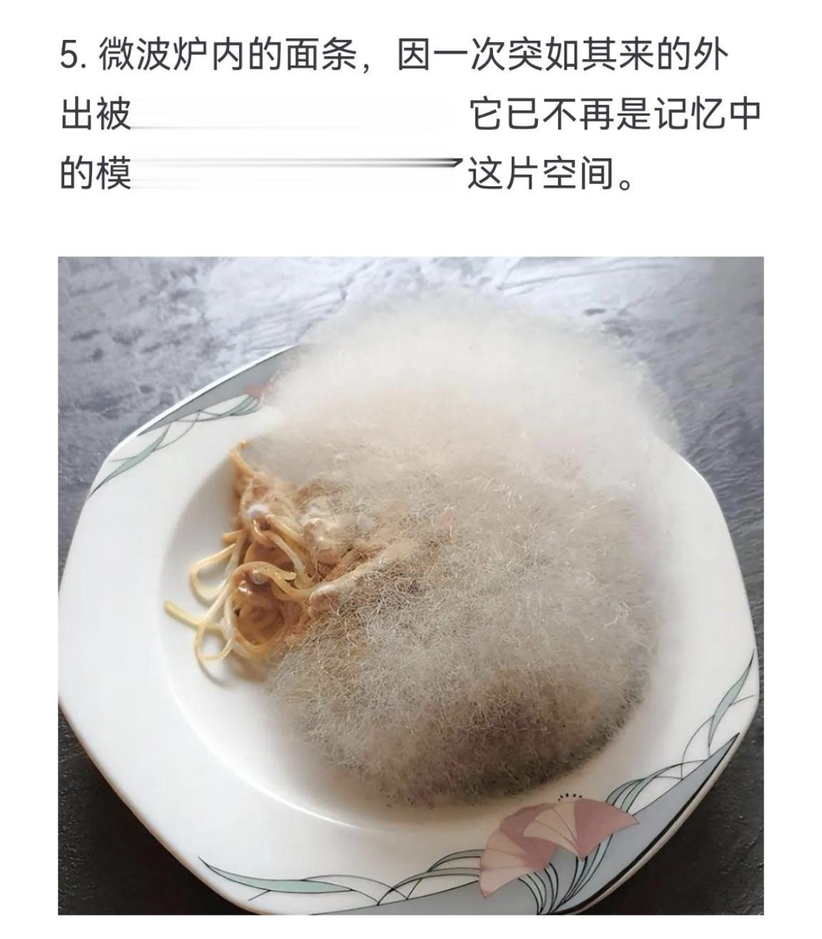 微波炉内的面条，因一次突如其来的外出被遗忘，再次开启时，它已不再是记忆中的模样
