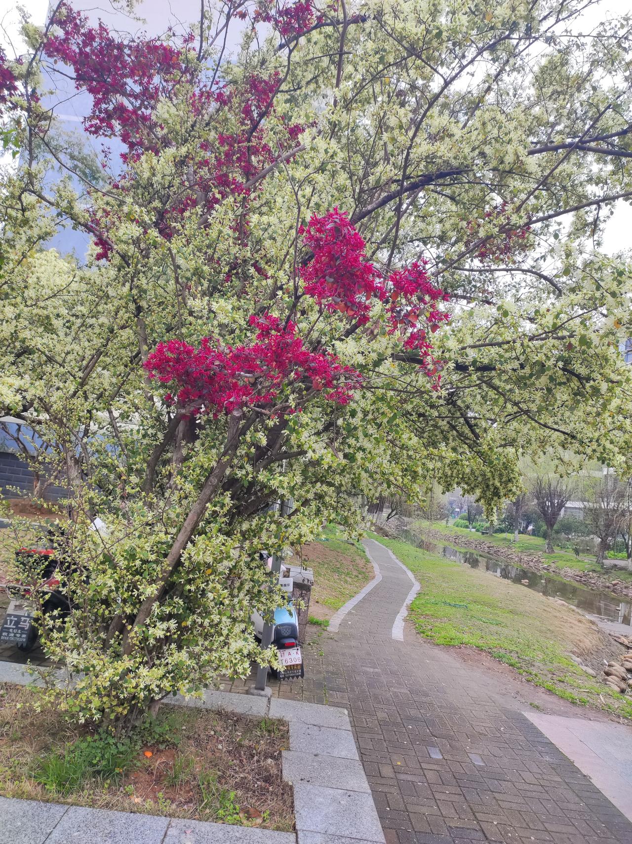 不知不觉中，今天是农历二月二！也是龙抬头的日子！
生活在城里，感觉不到有什么意义