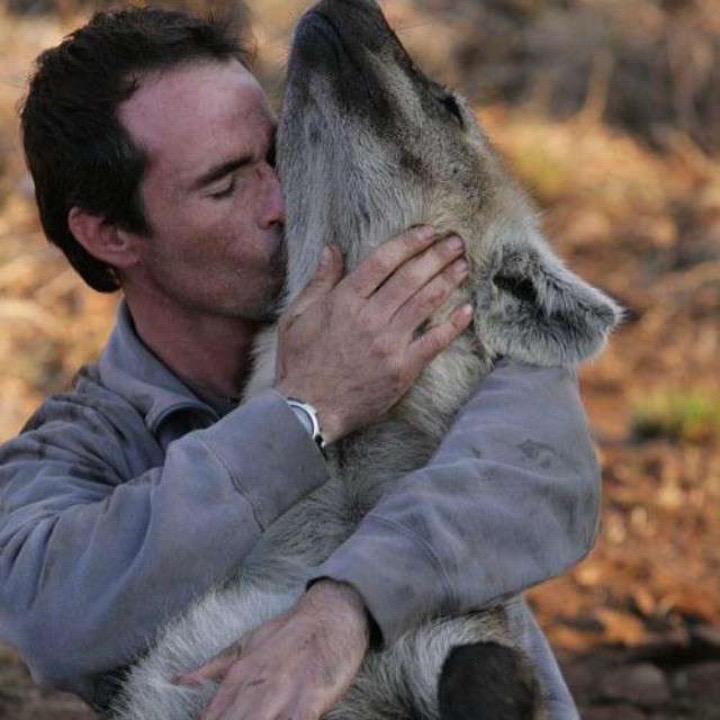 曾经的我也像很多人一样因为各种各样的。纪录片讨厌这种动物，直到看到凯文...