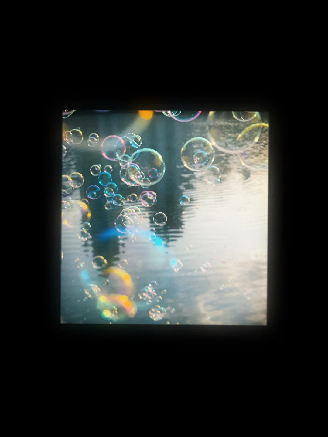 这就是live图存在的意义✨油画感发光胶片🎞️