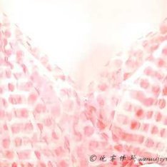 angelababy angelababy 与你相遇，是时光赠予我最珍贵的礼物，