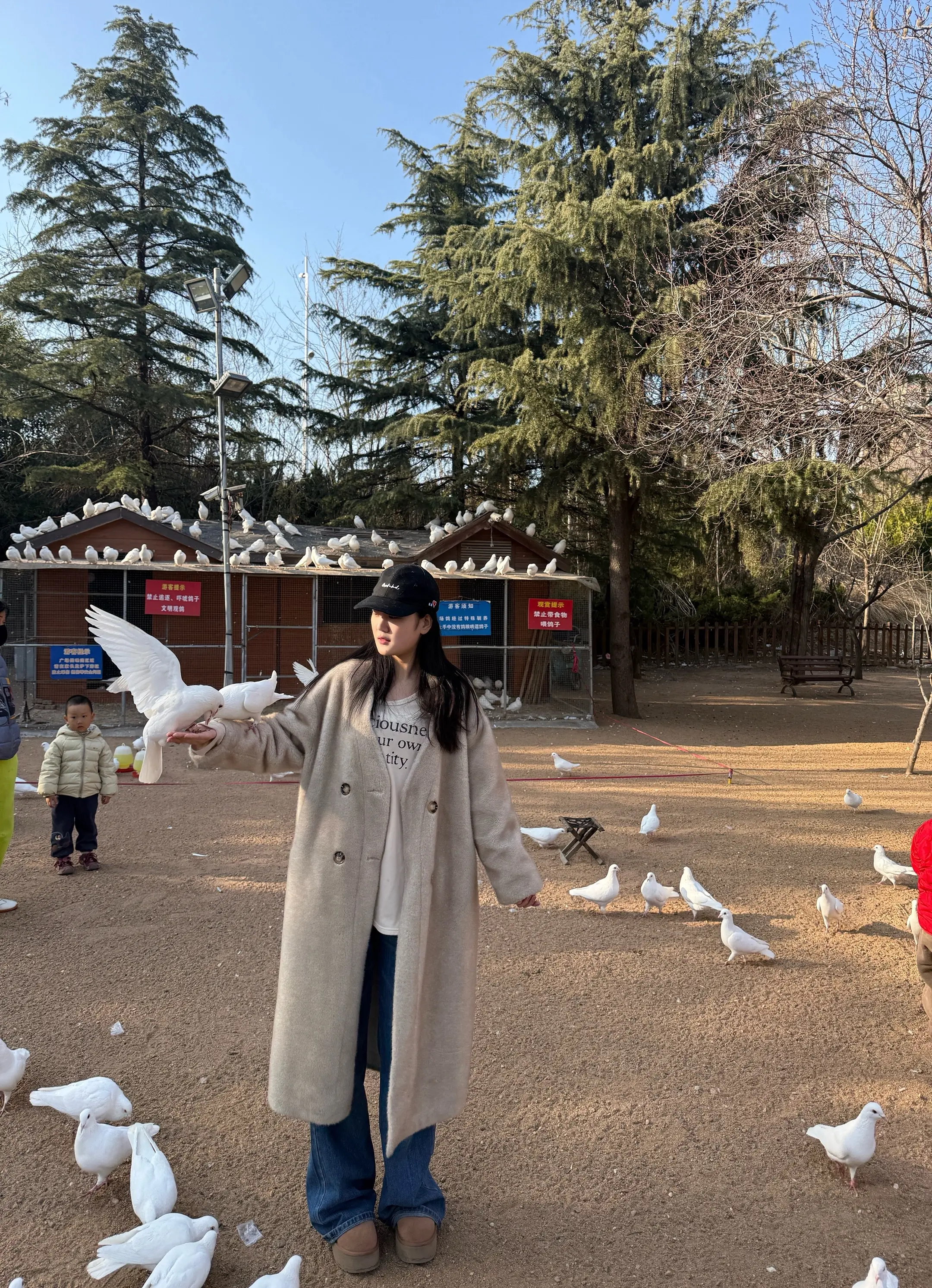 如果我对你少一些感情 你就会发现 其实我是一个冷静体面又善解人意的人