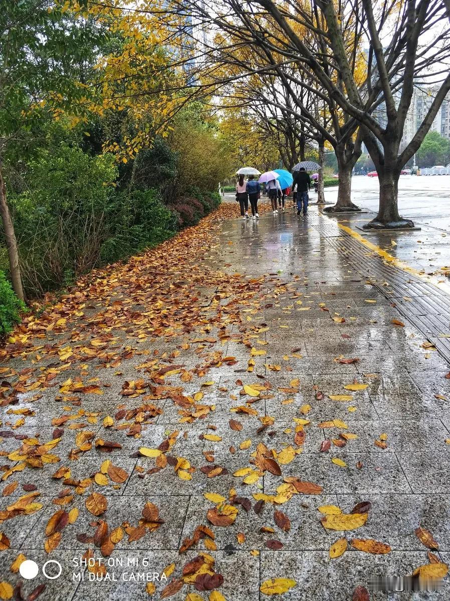 #上联：冬去千山秀，诚邀下联#
冬去千山秀
秋来一地黄[呲牙]