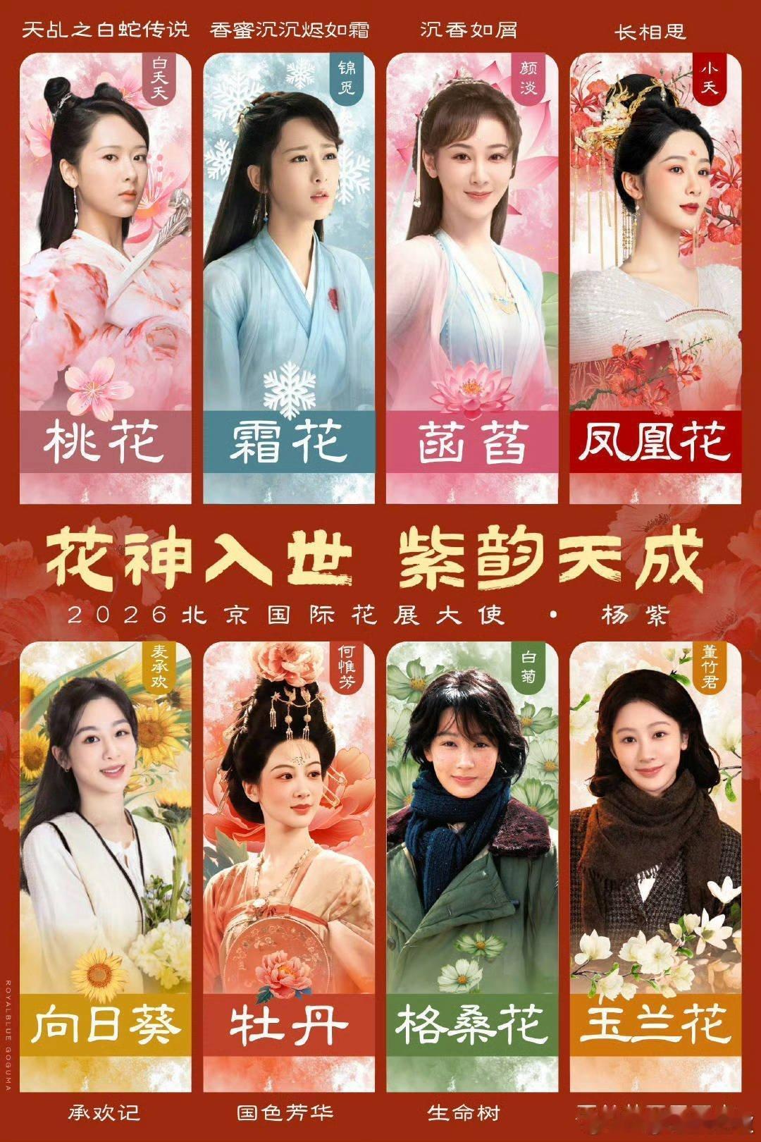不愧是国际花展宣传大使 杨紫小姐姐的大多角色都与花儿有关 花神入世 紫韵天成 