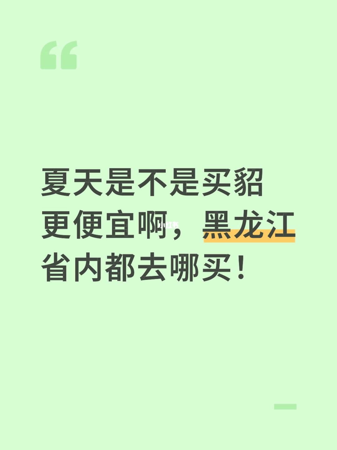 夏天是不是买貂更便宜啊，黑龙江省内都去哪