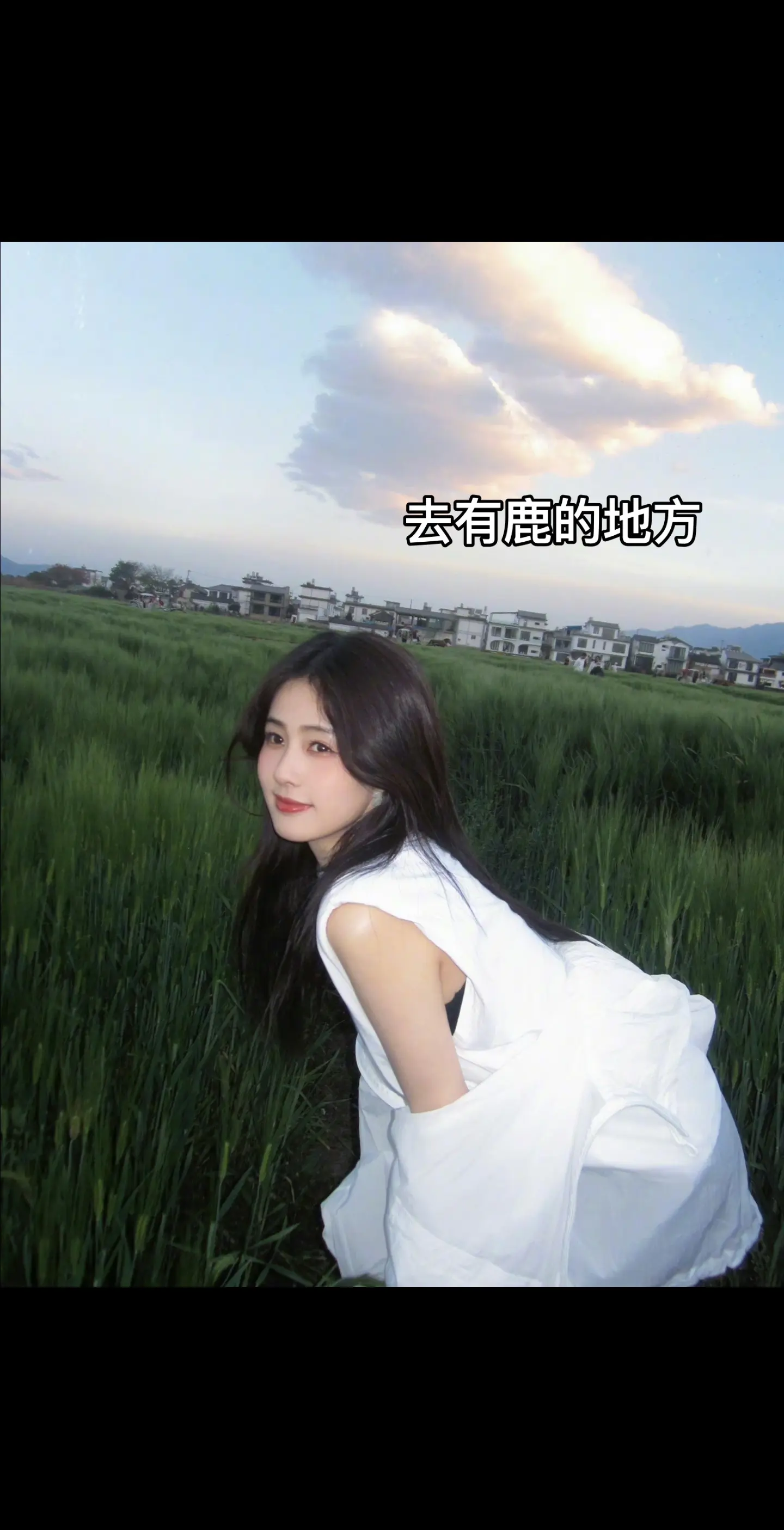 去有鹿的地方。云南