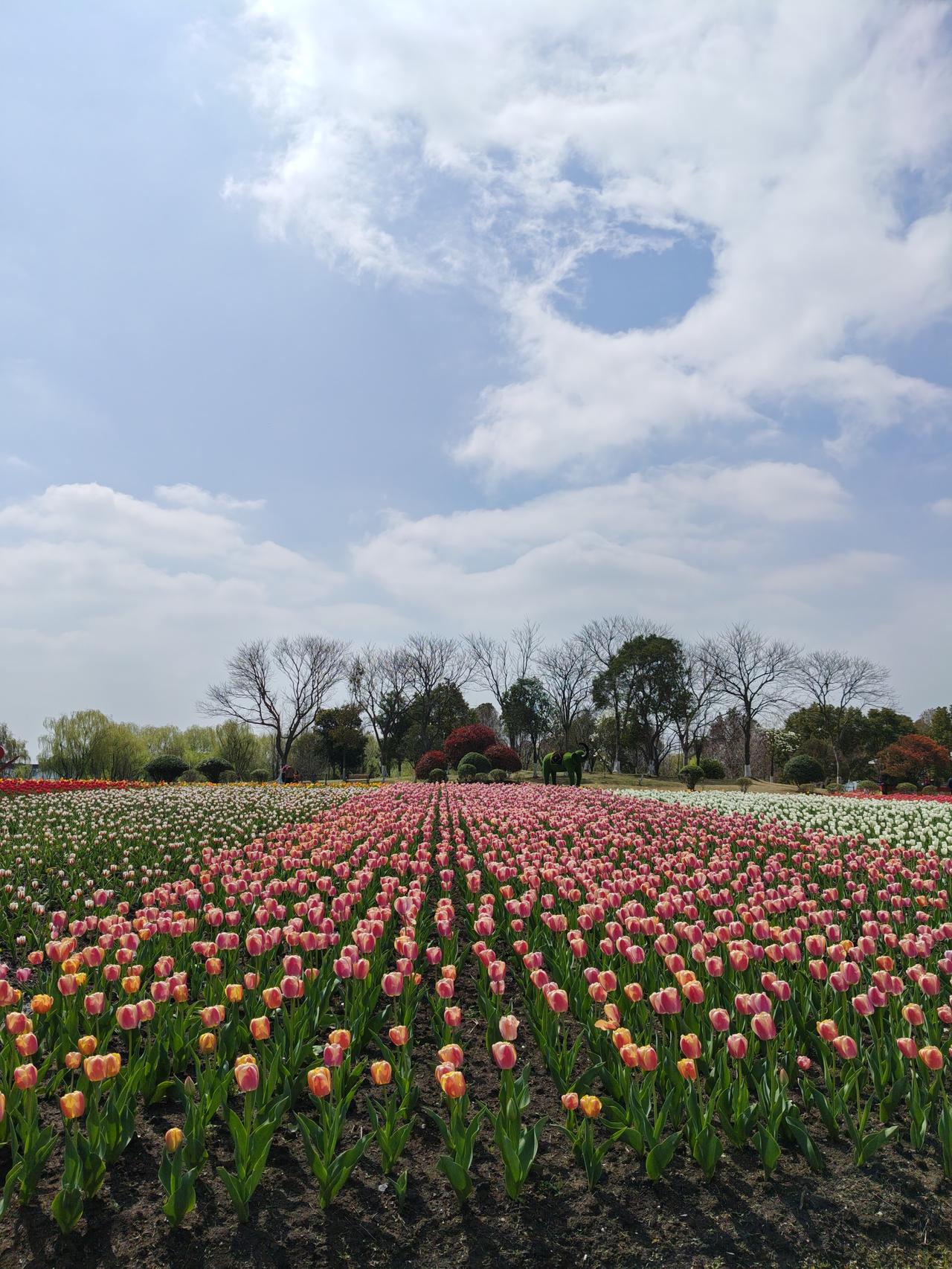 医疗仪器当然需要由掌握仪器的医生来看病，应用仪器设备看病的难度比单纯视触叩听或望