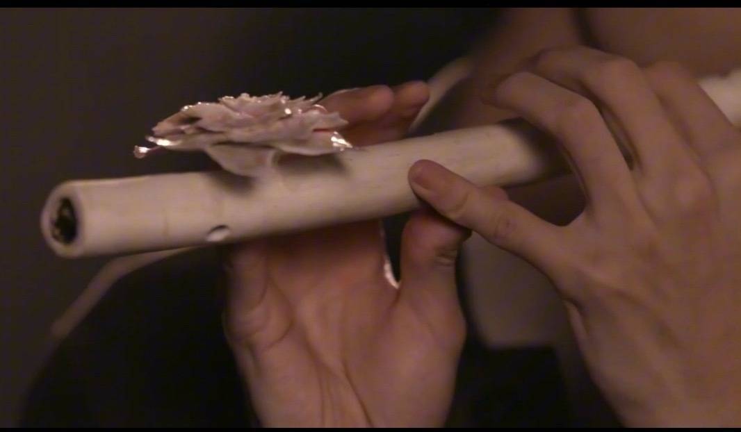 还以为易烊千玺做美甲了镜头错位还以为是易烊千玺做了山茶花美甲🤣不过这个易烊千玺