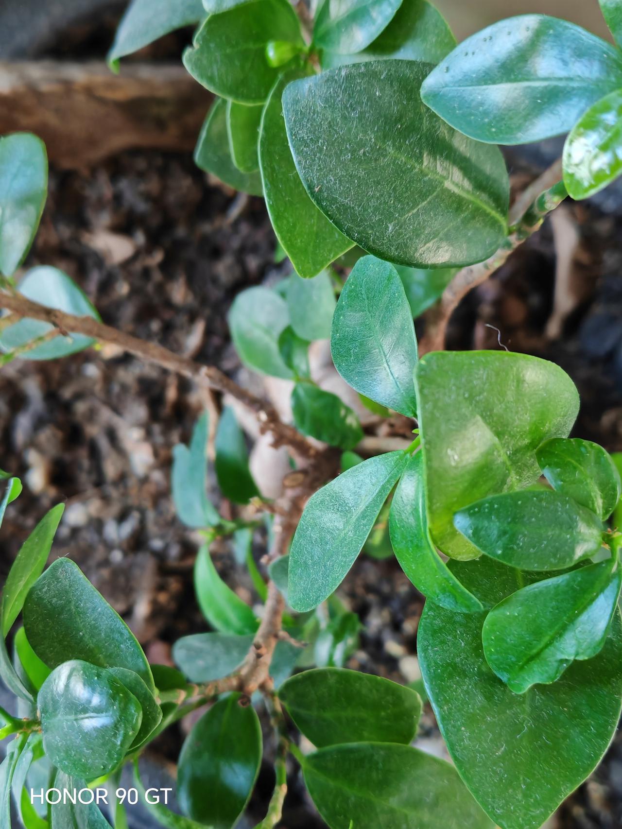 快乐每一天，幸福每一年，健康到永远，年年挣大钱。