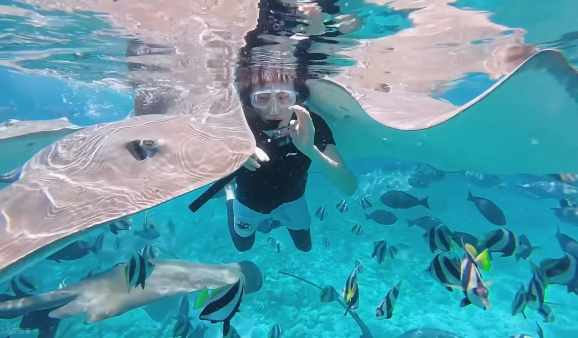 以为是老鼠干结果是宋亚轩海滩上躺着的以为是老鼠干，结果点开一看是宋亚轩一看就知道