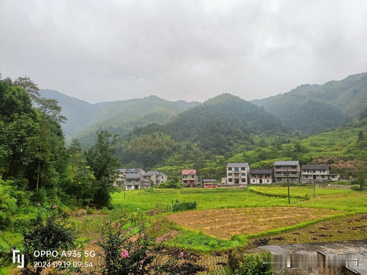 山水田园，静谧自然。
青山翠竹绕，田园如画间。
连续多日的高温，今天总算下雨了。