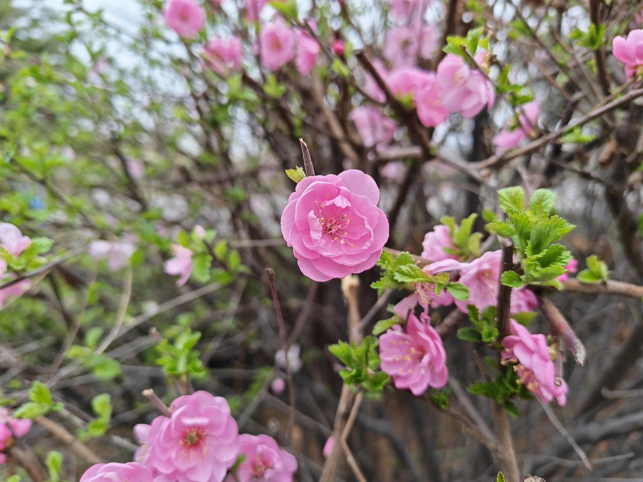 性学专家李银河说：
“任何男人和女人，只要他们是异性，在一起相处时间长了，他们就