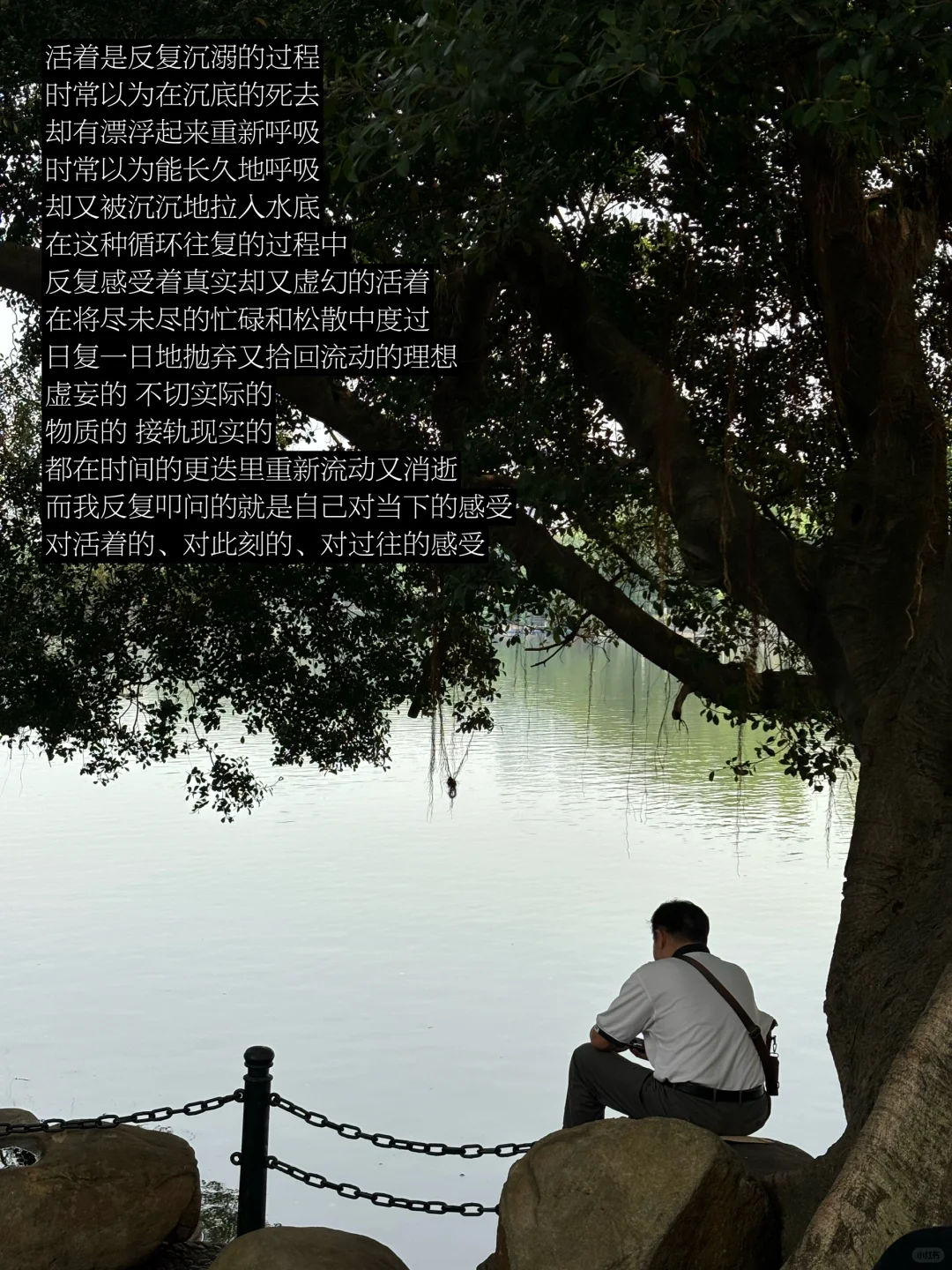 随笔｜活着是反复沉溺水底的过程，而我在等待