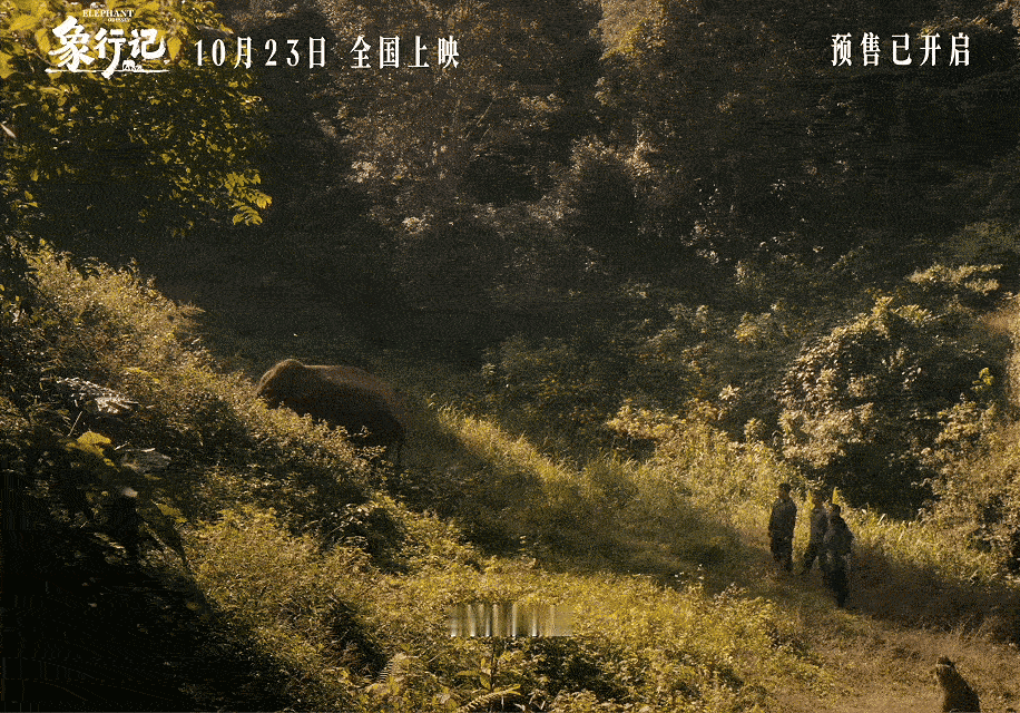 大象有自己的奥德赛电影  当年全网云监工大象旅行团，现在有电影可以沉浸式追剧，阿