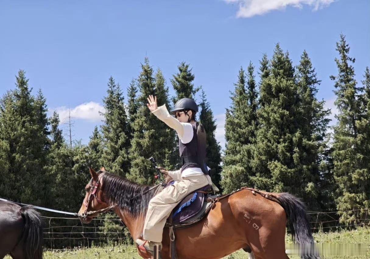 李宇春辛芷蕾骑马神错位以为李宇春辛芷蕾骑一匹马 被这张骑马图狠狠骗到，第一反应还