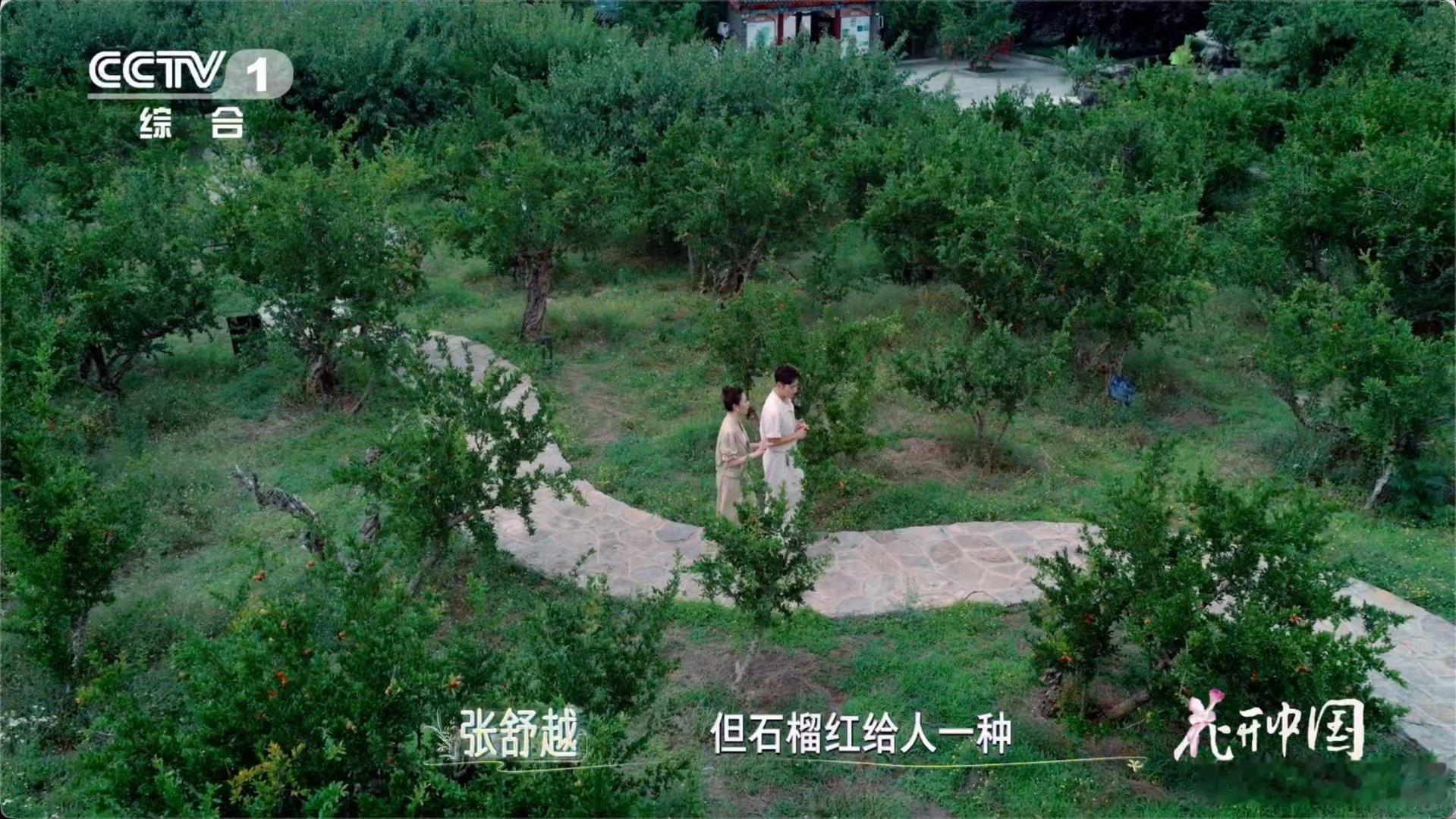 石榴裙到底什么样 很多词人们天天用，但从没搞清楚它本意是什么。石榴裙不是裙子，是