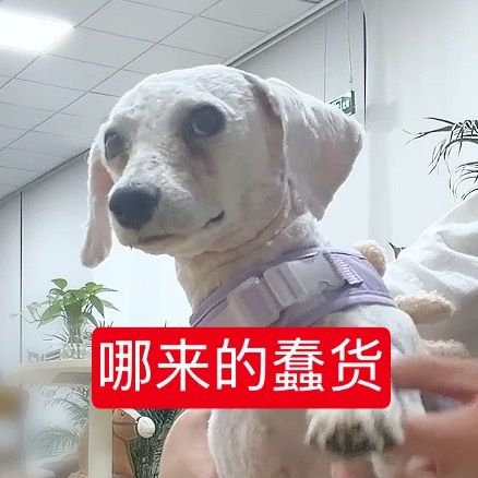 分享新鲜事 