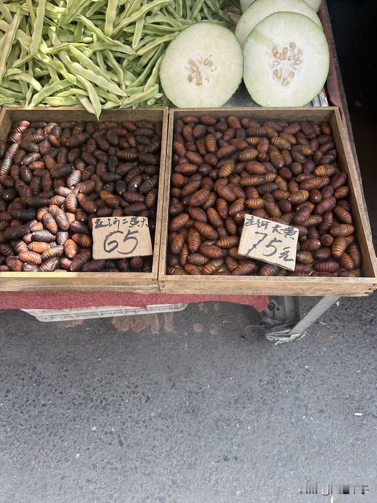 够牛，庄河茧蛹到现在还卖 75元一斤！

本以为四月中下旬，市场上的茧蛹会降价，