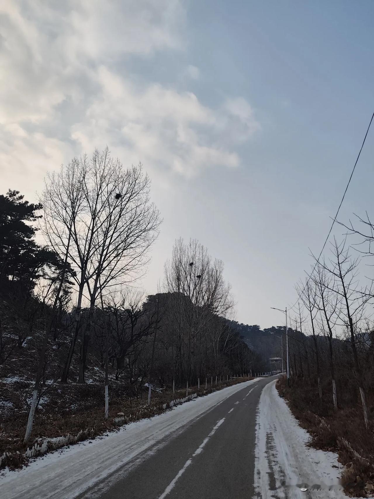 今天下午闲着无聊
到城西“庄”里走走
看看松山日照白雪
走走农家山脚栗行
平静内