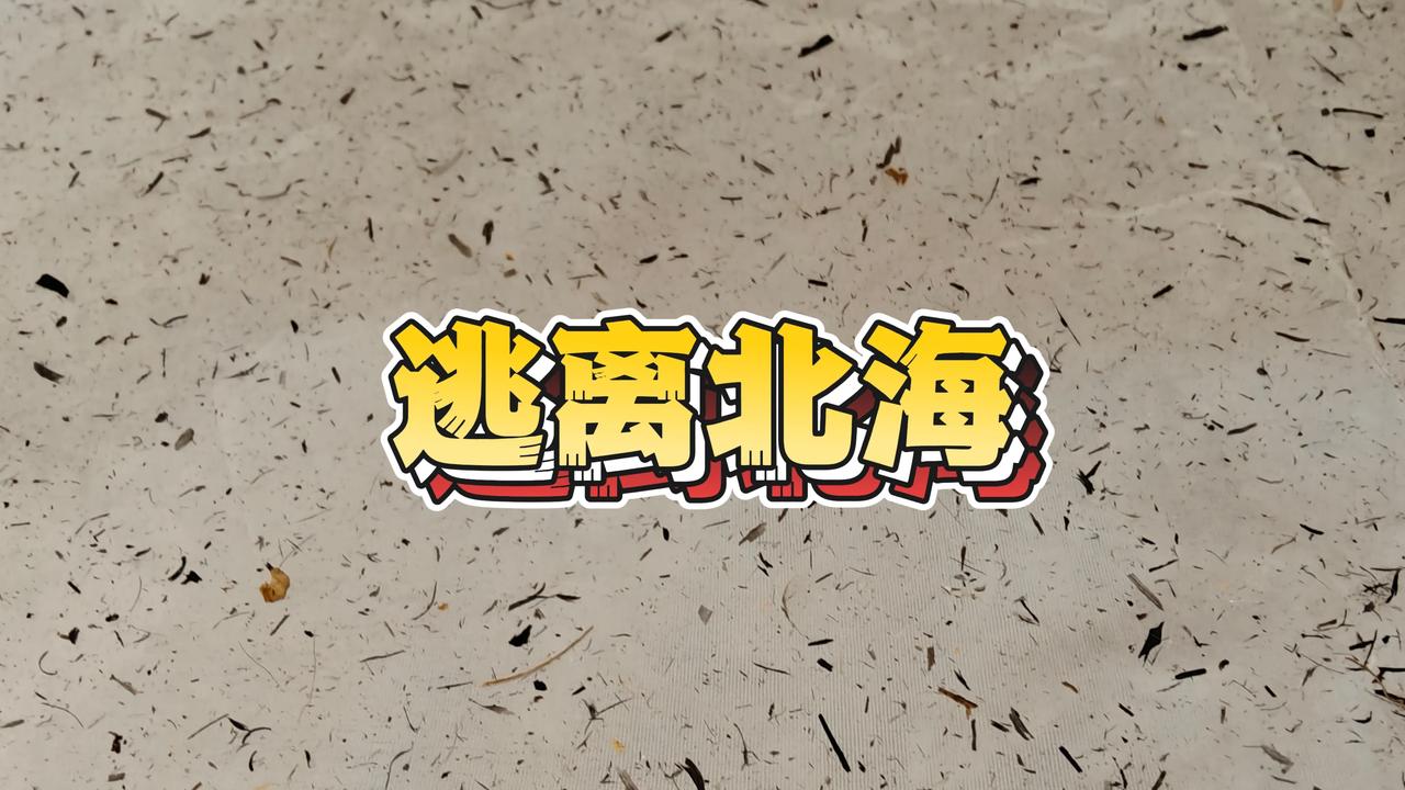 逃离北海
“事不自作，不知难易，境不亲历，不知冷暖”
什么事情不亲身经历，真的不