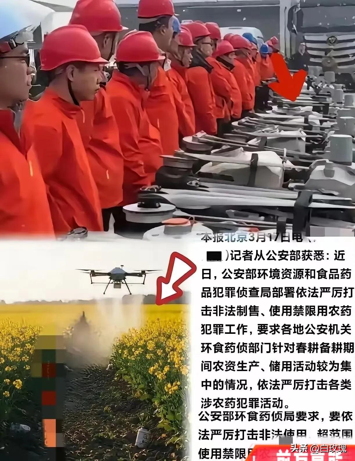 这次严查真是大快人心！有些人穿着红工服，操控无人机，专挑油菜花盛开的时候乱喷农药