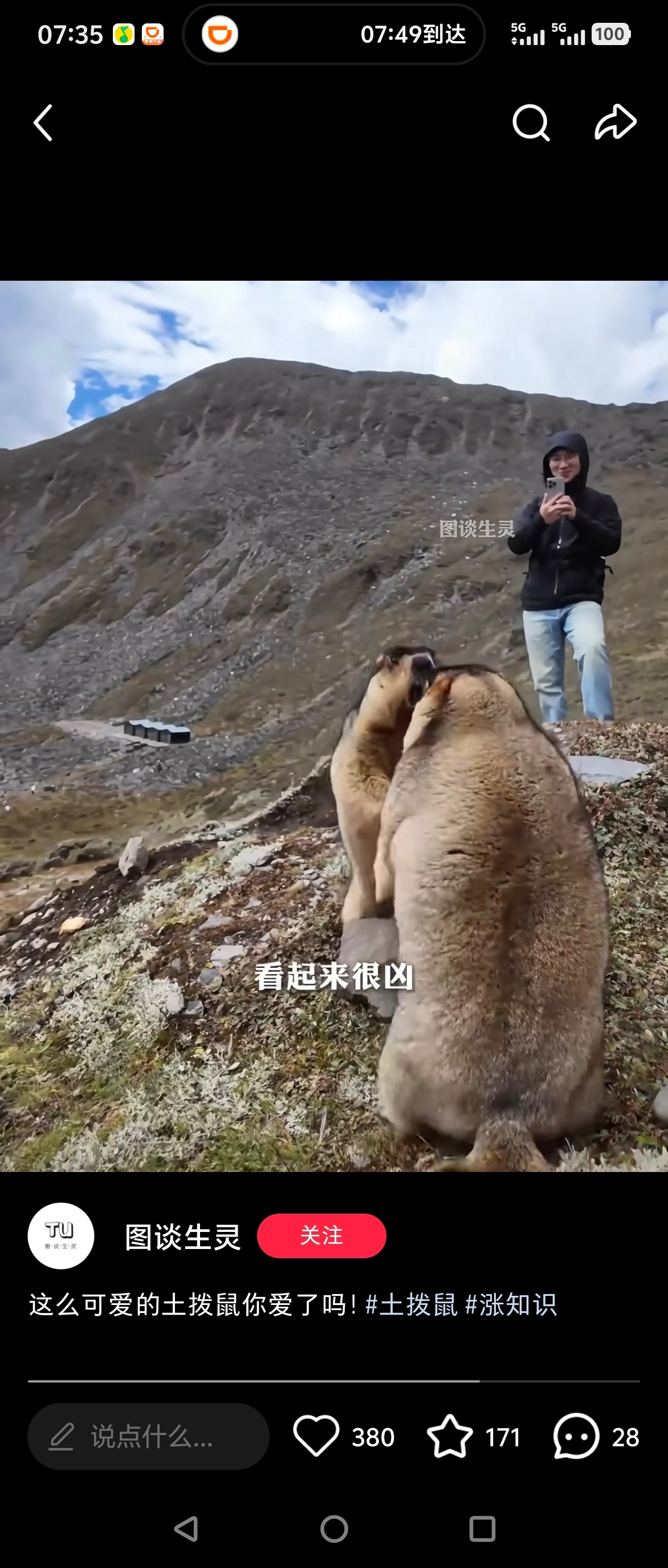最近研究新疆旅行，看到网上有大量的人主动去接触投喂旱獭（土拨鼠），甚至还有种草吸