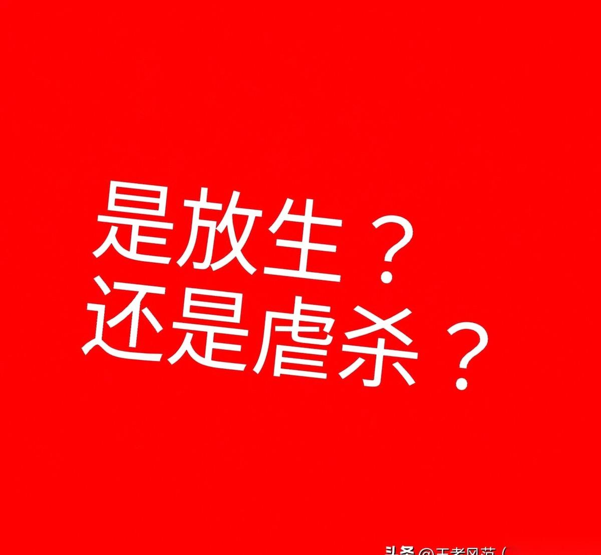 把几十只猫，活生生扔进水库里放生。
还是个饮用水源保护区。
我真的……不知道该用