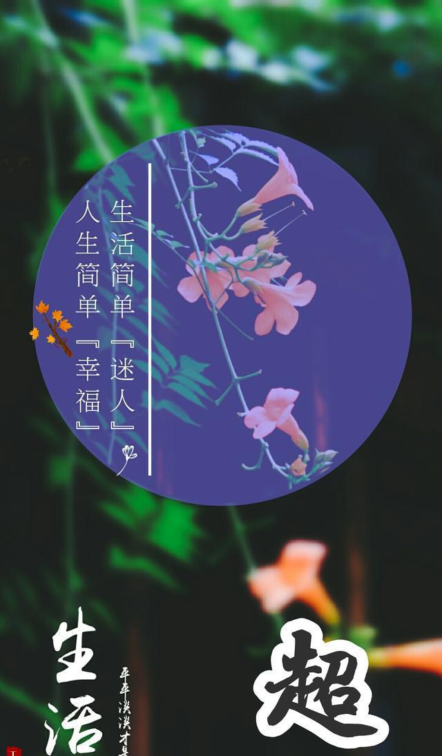 然而，岁月是一位无声的导师，它会在不经意间让我们明白许多道理。过了五十岁，经历了