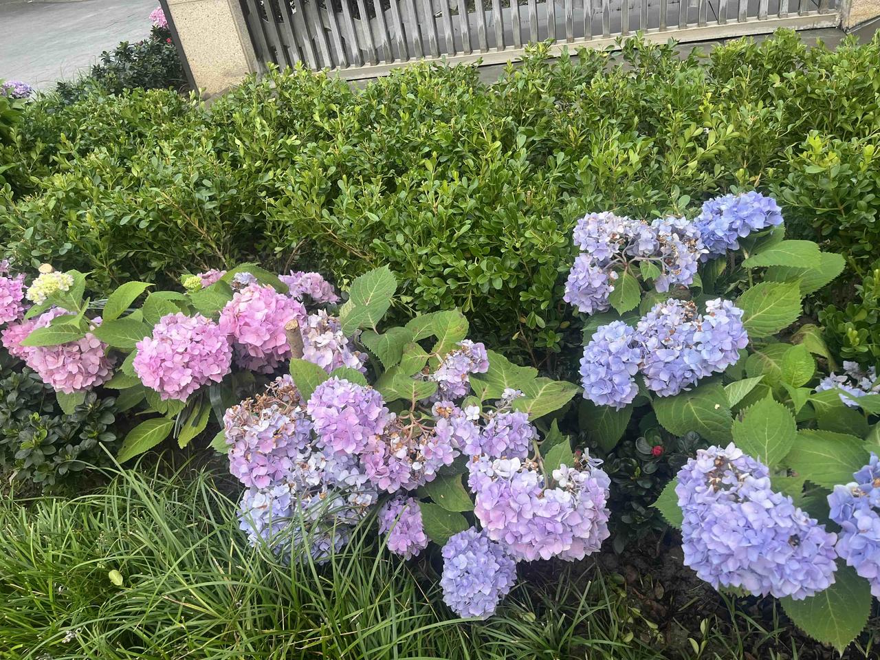 搞反了！养生的头等大事，根本不是吃喝运动

很多人拼着食补、锻炼、求安稳，其实都