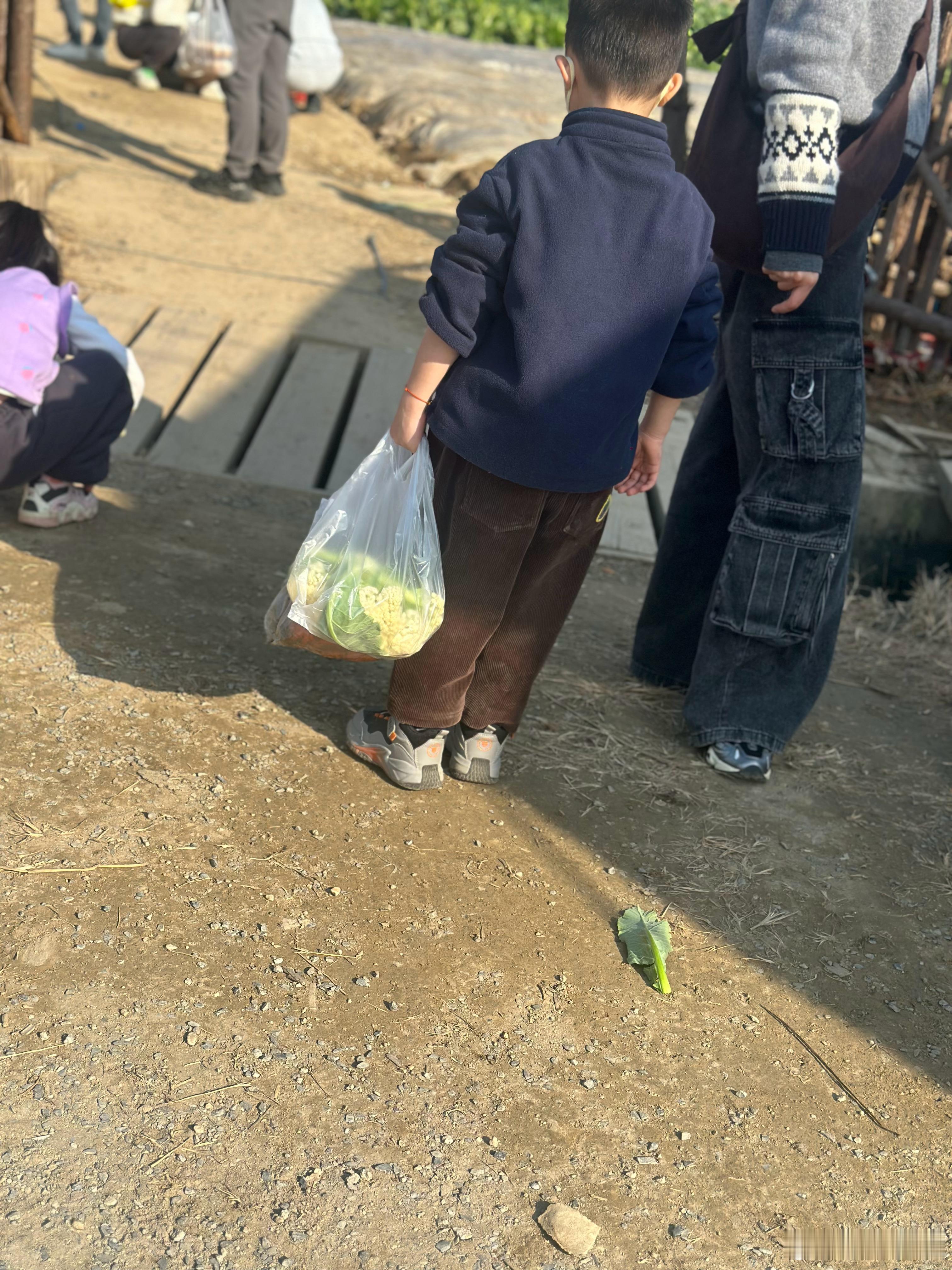 城里人就是犟，菜采摘好的便宜些不要，非要自己动手下摘还贵些，农民还乐意得很。大家