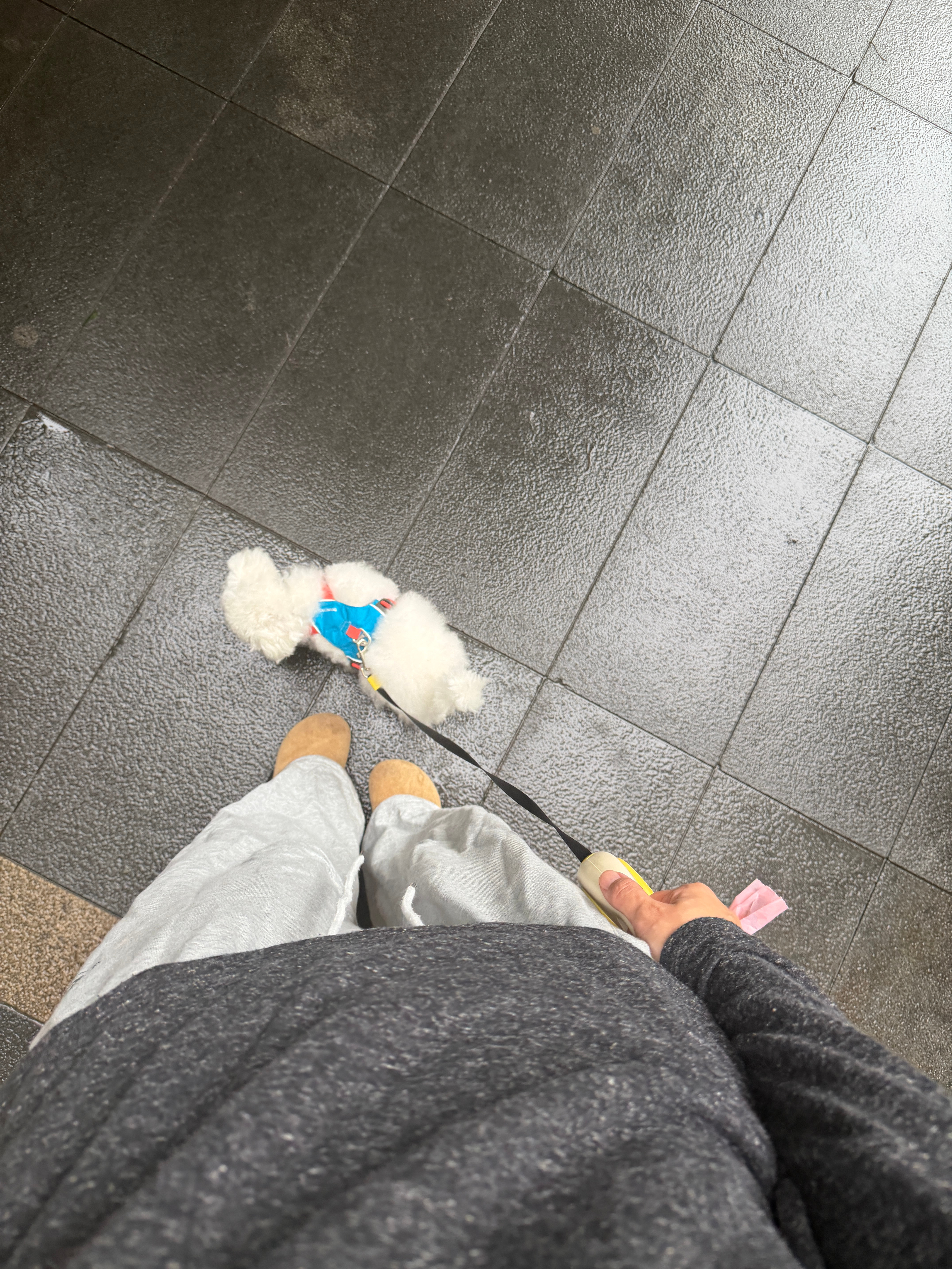 下雨也要出来的啊？ 