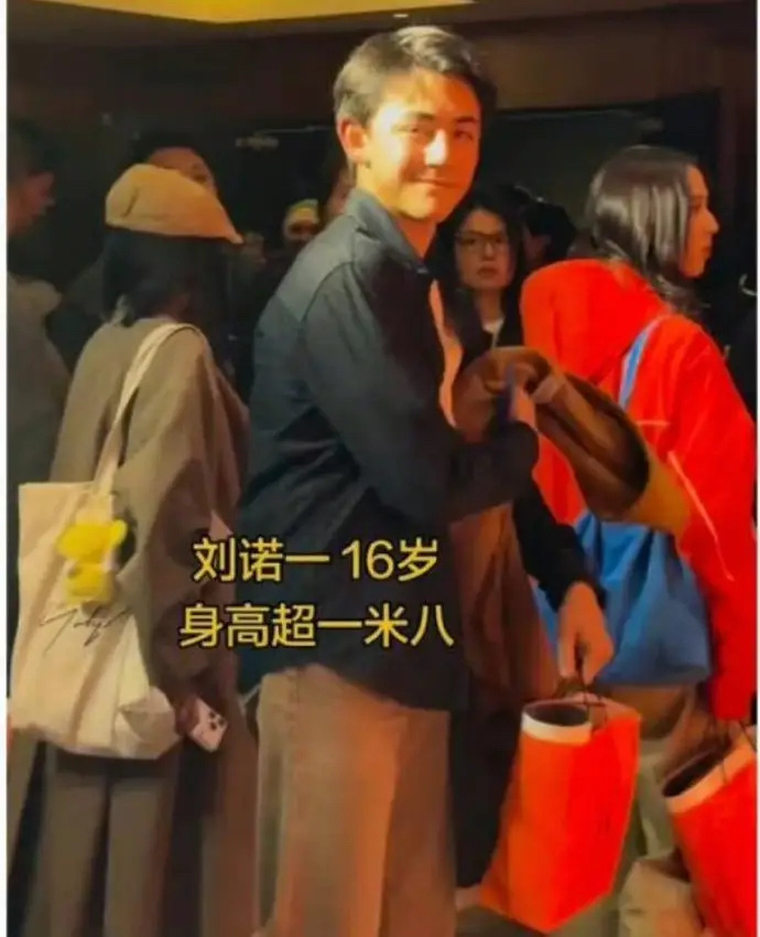 刘烨16岁儿子诺一，大家觉得好看吗？ 