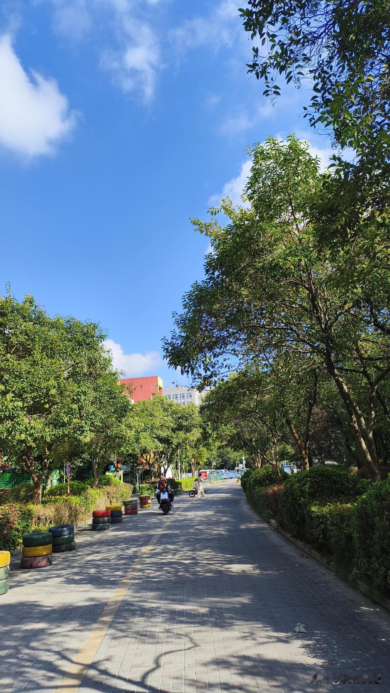 今天南京还稳在30度，没雨没风，走在太阳底下没两分钟后背就闷出一层汗，完全找不到